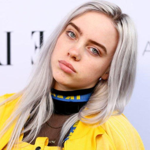 How Did Billie Eilish's Net Worth Reach New Heights?