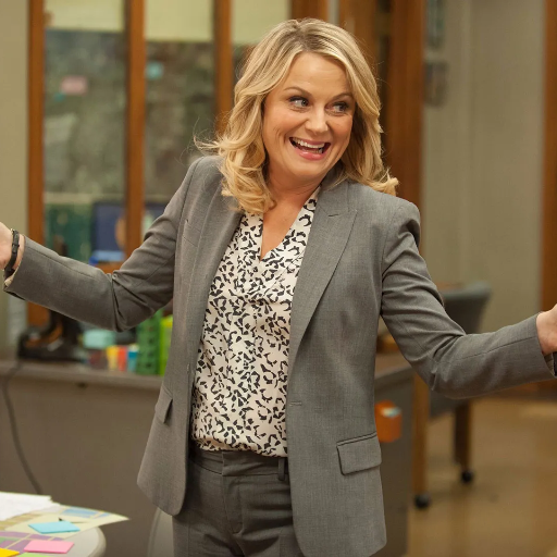 What Initiatives Has Amy Poehler Launched Beyond Comedy?