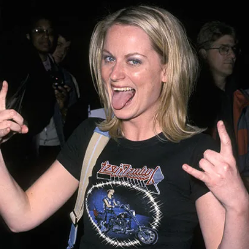 Who was Amy Poehler before Fame?